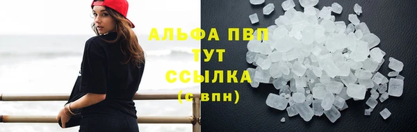 стаф Богородицк
