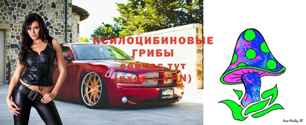 первитин Богородск