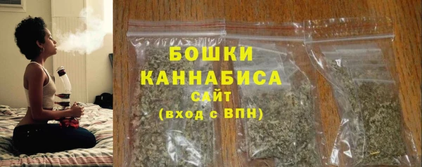 стаф Богородицк