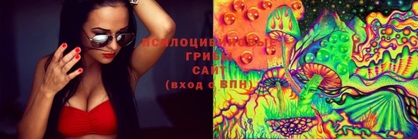 стаф Богородицк