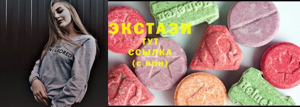 стаф Богородицк