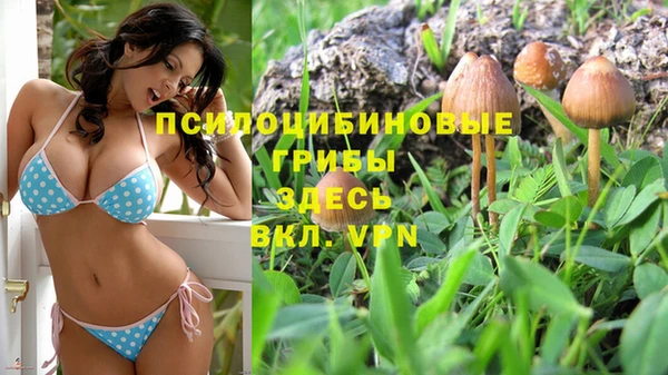 первитин Богородск